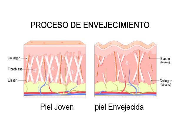 cicatrización plasma pen